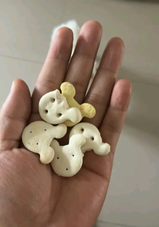 约克先生训犬零食