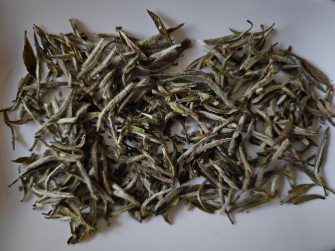 品品香白茶