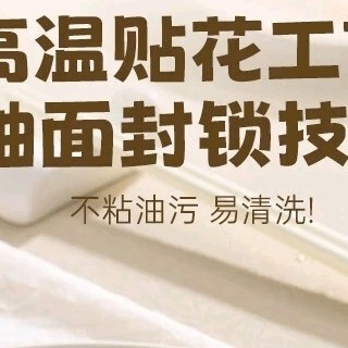 双枪（Suncha）【抖音爆款】卡皮巴拉陶瓷筷子 好用