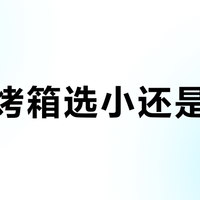 新手烤箱选多少L合适？是30L吗？用户观点不一