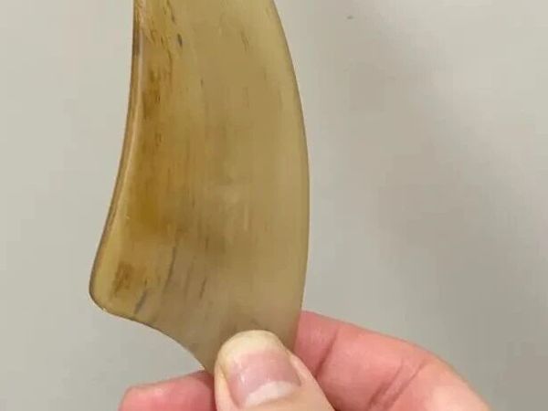 不搞玄学！写写从头到脚真正有效的养生工具（中医、西医都认可）