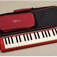 🎹 奇美 37 键口风琴｜一款承包全年龄段的宝藏乐器！