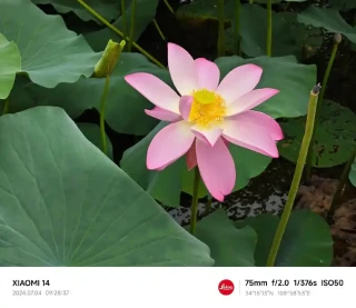 小米14：徕卡加持的2000元影像旗舰