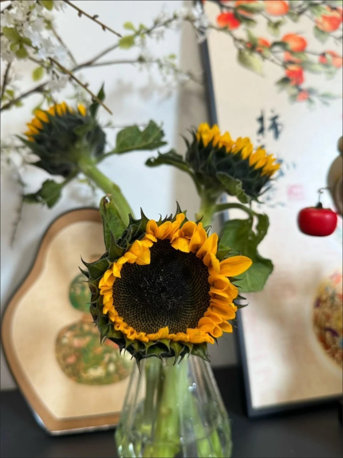 鲜花绿植