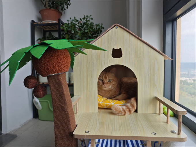 猫玩具