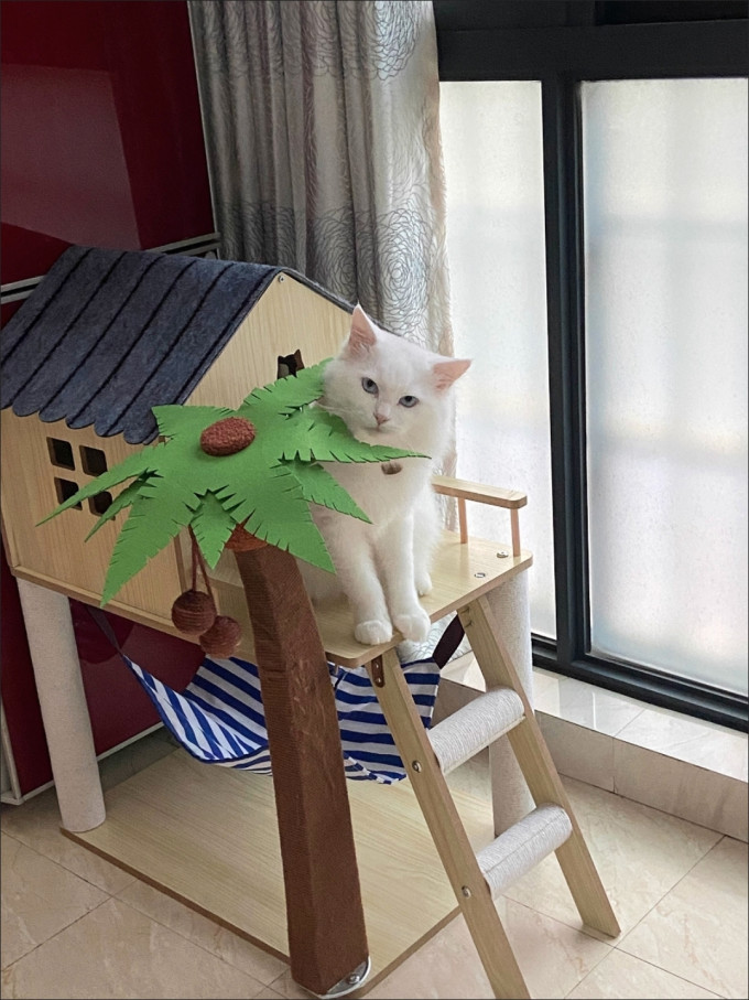 猫玩具