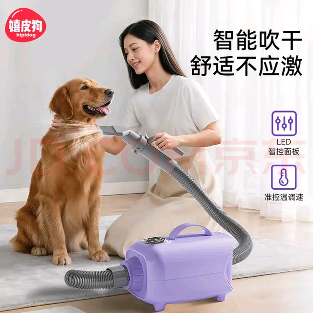 智能吹水机革新宠物护理