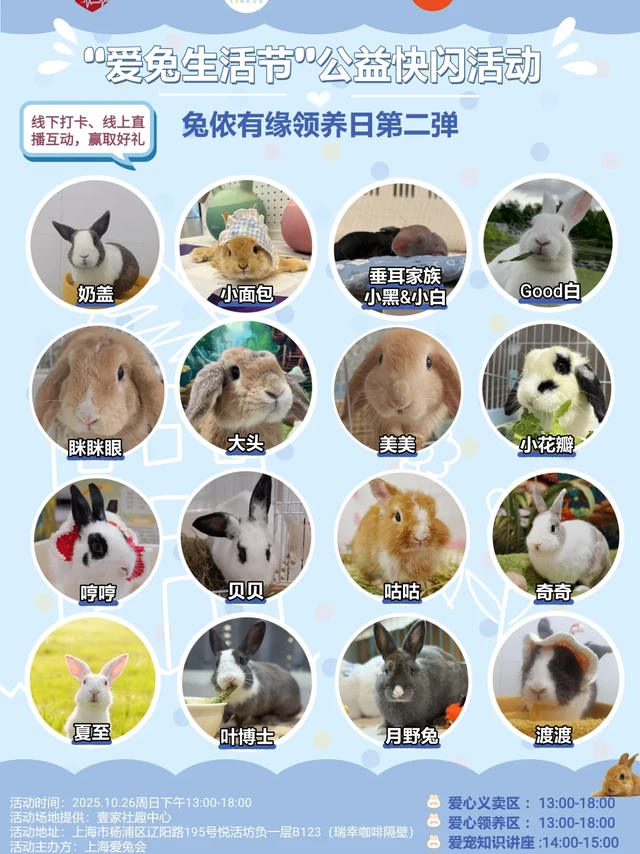 【10.26活动邀请函】第一届“爱兔生活节”公益快闪活动
	
亲爱的友友们！@上海爱兔会 携手@壹家社趣中心  @内博虎动物医院（含异宠） 发起第一届“爱兔生活节”公益快闪活动&“兔侬有缘线下领养日”