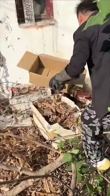 救助流浪狗，人之善举点赞，关爱小动物和谐共生。#三分钟视频助燃计划##微博中长视频扶持计划# 赵俞锋的微博视频