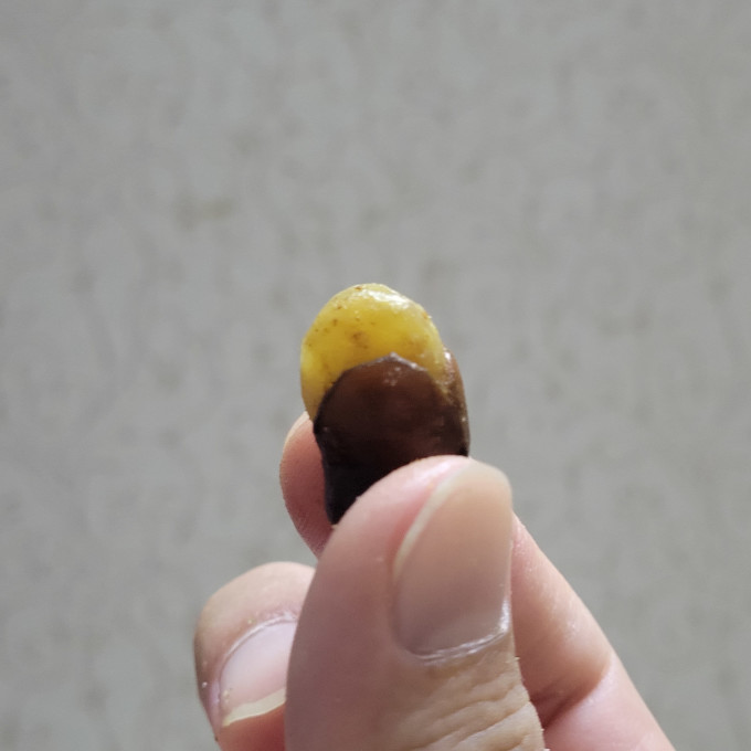 傻二哥其他坚果