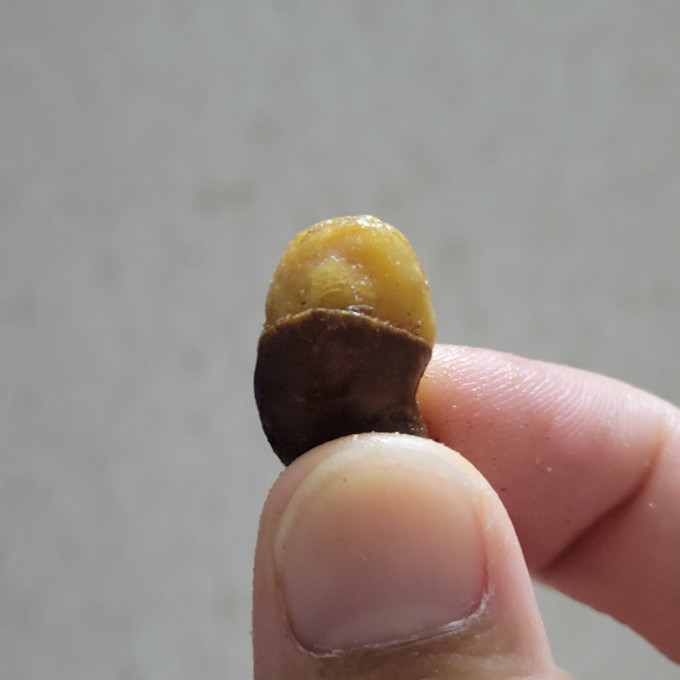 傻二哥其他坚果