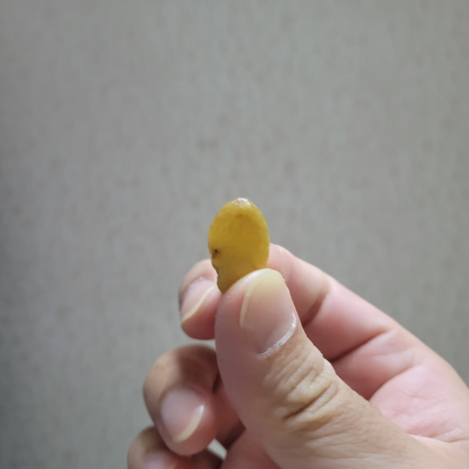 傻二哥其他坚果