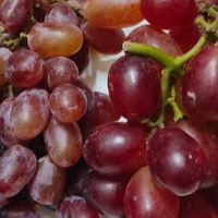 京鲜生双葡组合太绝！3斤礼盒装，鲜到咬出汁水