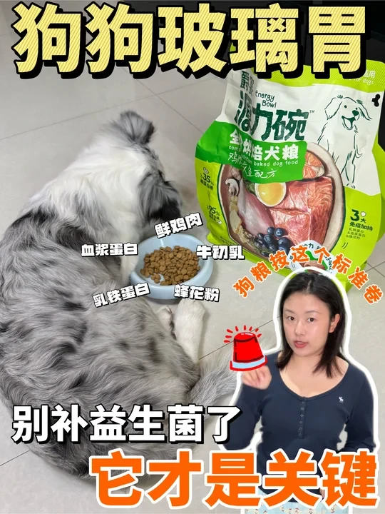 狗狗总软便？可能是免疫力在报警！