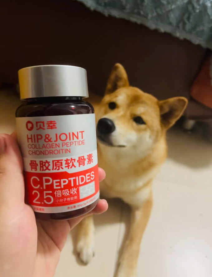 猫零食