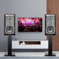 丹拿音响 vs 书架音箱？我们汇总了86位用户真实体验，结论在这