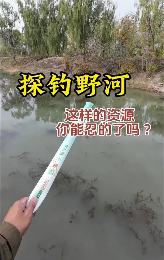 野河这样的鱼情你能忍的了嘛？#渔之源小蜻蜓二代 #超牌觉醒 #三老头浮漂 #钓鱼人有自己的大丰收 #在仙境里钓鱼是什么体验