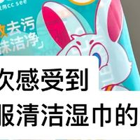 独立包装羽绒服清洁湿巾方便实用