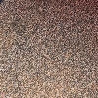 晒一晒我入手的汽车脚垫，好用不贵