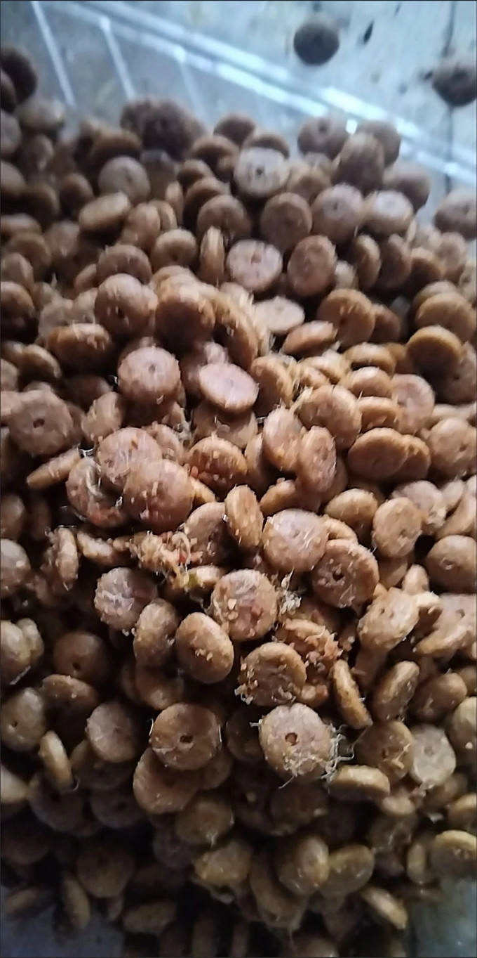 比乐狗粮