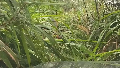很多老司机经常吐槽高德地图，却还是离不开高德！