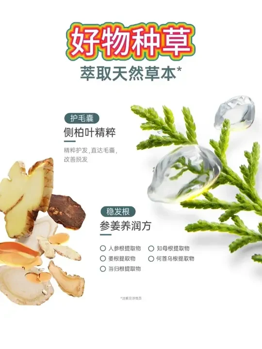 【防脱固发洗发水】袋鼠妈妈防脱洗发水生姜养发去屑控油蓬松洗发露 #防脱洗发水 #生姜养发 #袋鼠妈妈洗发 #控油蓬松 #去屑洗发露