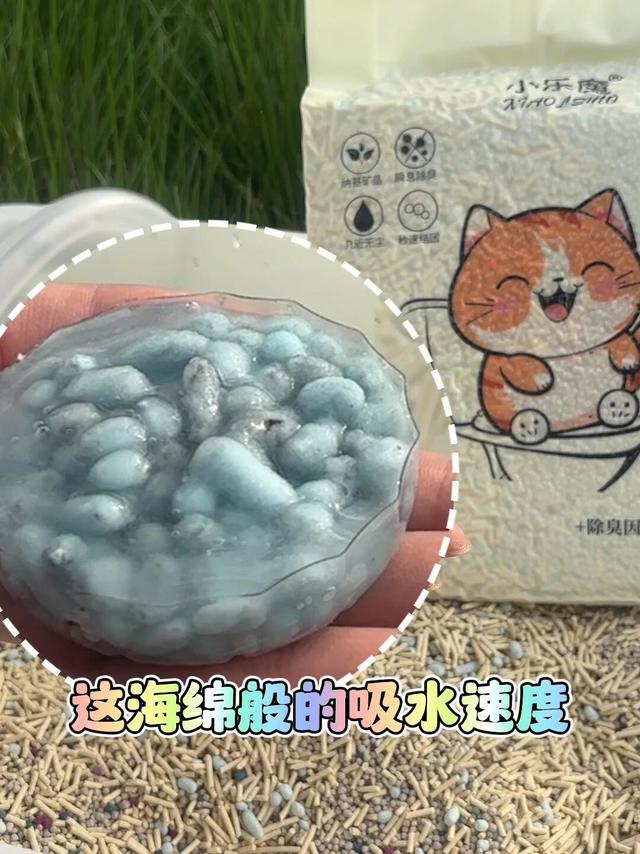 🔮新手养猫要看，信我让你一年省下大几百