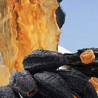 团圆年味新搭子！甄菌子四拼礼盒，让海鲜干货也能鲜出仪式感