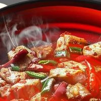 志高三档火力多功能锅评测