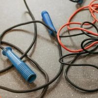 你家角落那根跳绳，可能比你办过的所有健身卡都有用。