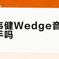 宝华韦健Wedge音箱值得入手吗？1200+用户真实观点大PK