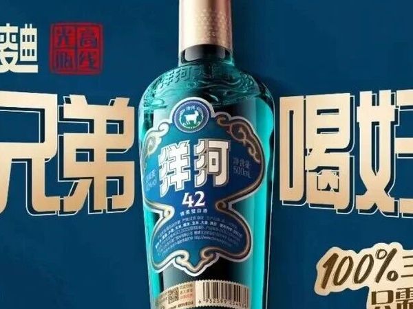 洋河大曲高线光瓶酒获创新奖，懂酒更懂你
