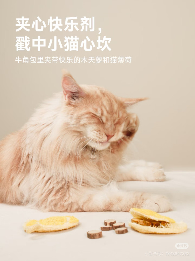 猫抓板