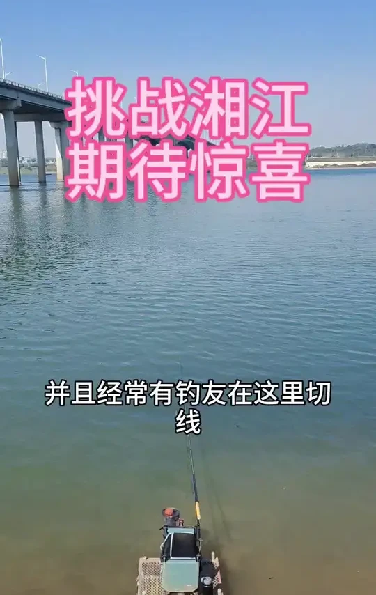 挑战湘江,期待惊喜!每天直播探钓不一样的水域,体验不一样的鱼情,带大家感受不一样的水情鱼情!把更多的好钓点和方法跟大家进行分享和交流!欢迎大家加入我们的野钓大家庭!#钓鱼人 #钓鱼 #野钓 #汉鼎卓越