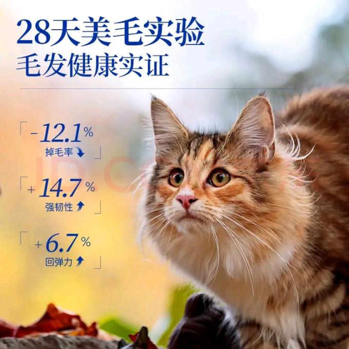 海洋之星猫咪干粮