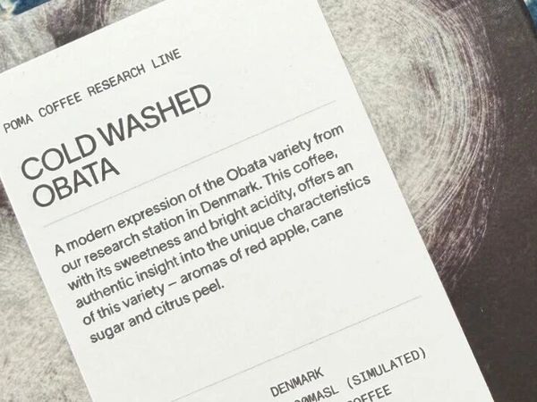 喝到一支稀罕物：丹麦POMA实验室种植并烘焙出品的冷水洗Obata