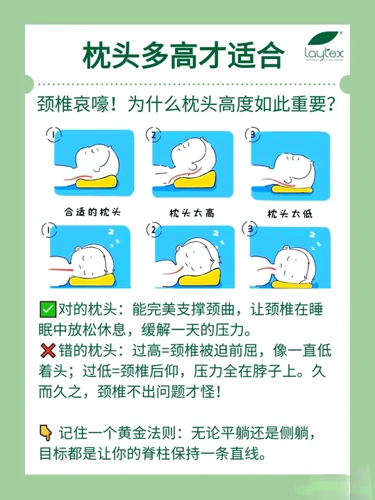 枕头多高才适合？如何让平躺侧睡都舒服！