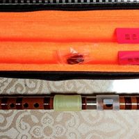 玩模乐器开箱秀，竖笛入门级简单易学