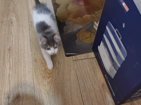 图吧日常开箱之30包邮的罗技M570