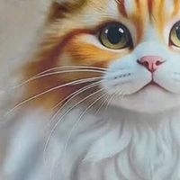 我家猫的干饭狂欢，多亏京七猫粮