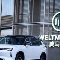 威马汽车重组新进展：智马行温州成立 注册资本2亿元