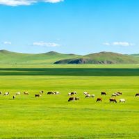 铜川高强涤纶线批发，享即时报价与优惠