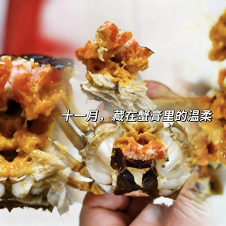 11月,50只母蟹的温柔:9.9元一只的幸福,藏在这金黄的蟹膏里