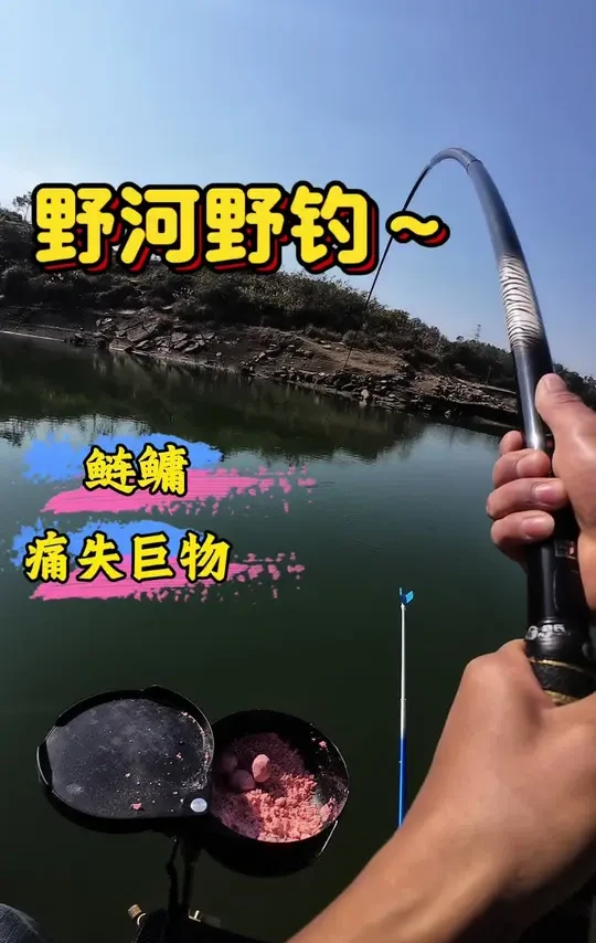 痛失巨物#休闲垂钓 #沃鼎王者神剑三代大物竿 #户外钓鱼#垂钓🎣