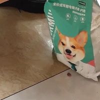 养宠党狂喜！凯锐思银爪P18狗粮真的让毛孩子狂炫饭
