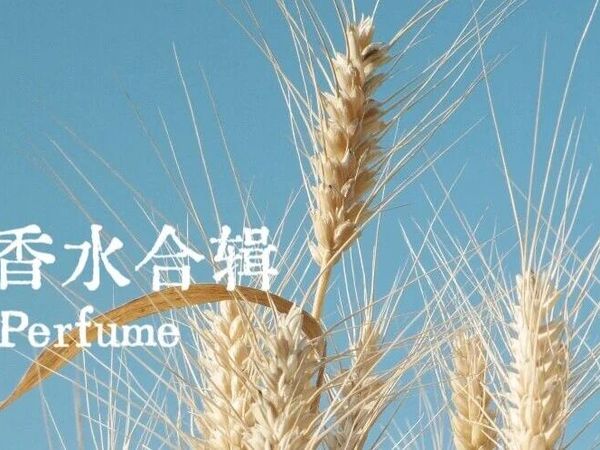 谷物香单 | 被大米、小麦粉糯气味包裹的幸福感