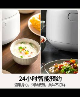 双十一购松下饭墩墩2.0，轻松煮出幸福好饭！