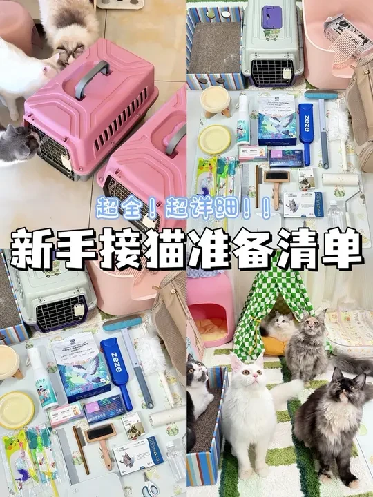 超全！超详细！新手接猫必备必需品准备清单～ #新手养猫 #接猫准备 #养猫日常 #养猫经验分享 #科学养宠攻略
