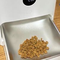 双十一必入养宠好物！米家智能宠物喂食器，铲屎官彻底省心