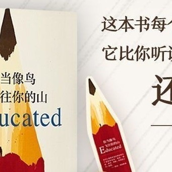 当你像鸟飞往你的山：在自我觉醒中重构人生